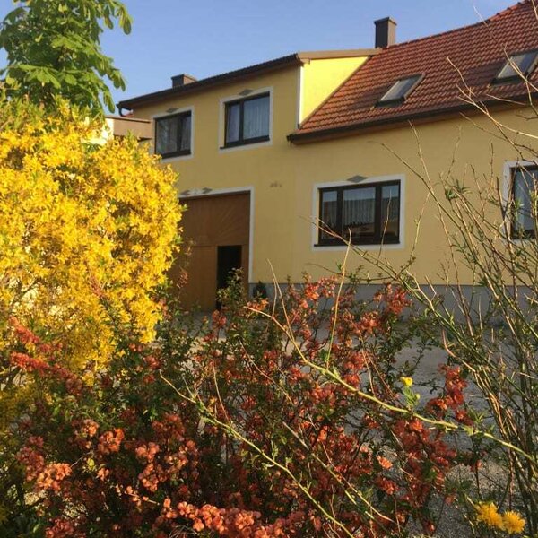 Amstetters-Ferienwohnung - Frühling