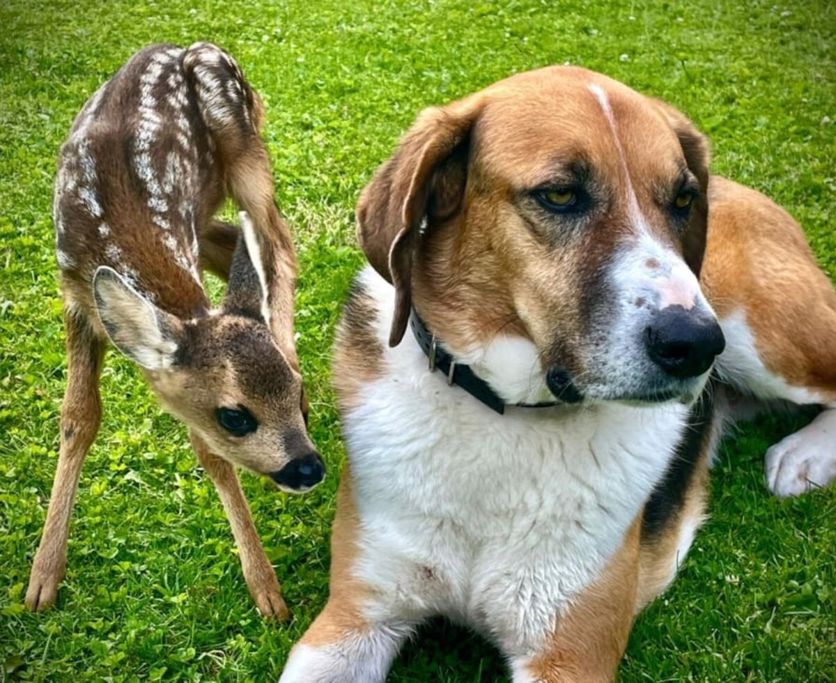 George und Clooney