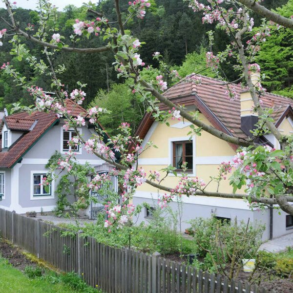 Ferienhaus und Apartment Idolsberg - Ansicht