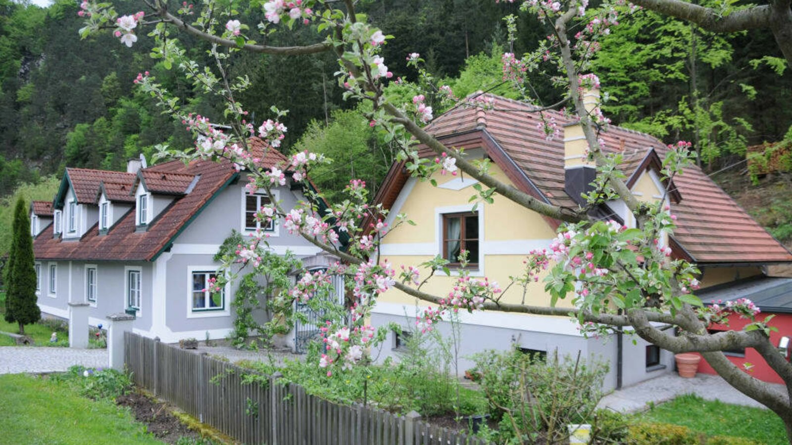 Ferienhaus und Apartment Idolsberg - Ansicht