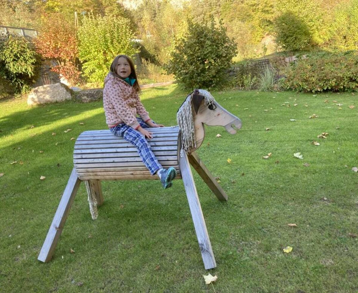 Ferienhaus und Apartment Idolsberg - Holzpferd für Kinder