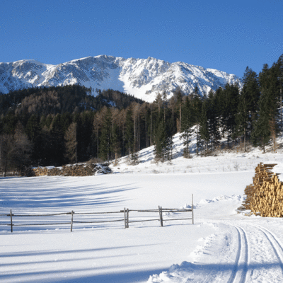 Ferienwohnung Schneebergblick - Winterlandschaft