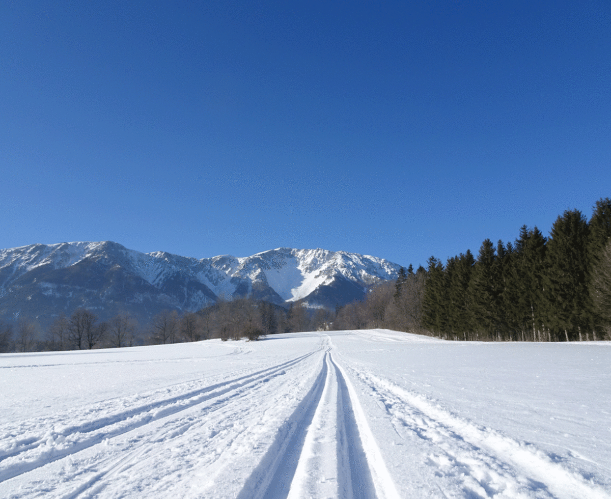 Ferienwohnung  Schneebergblick - Loipe