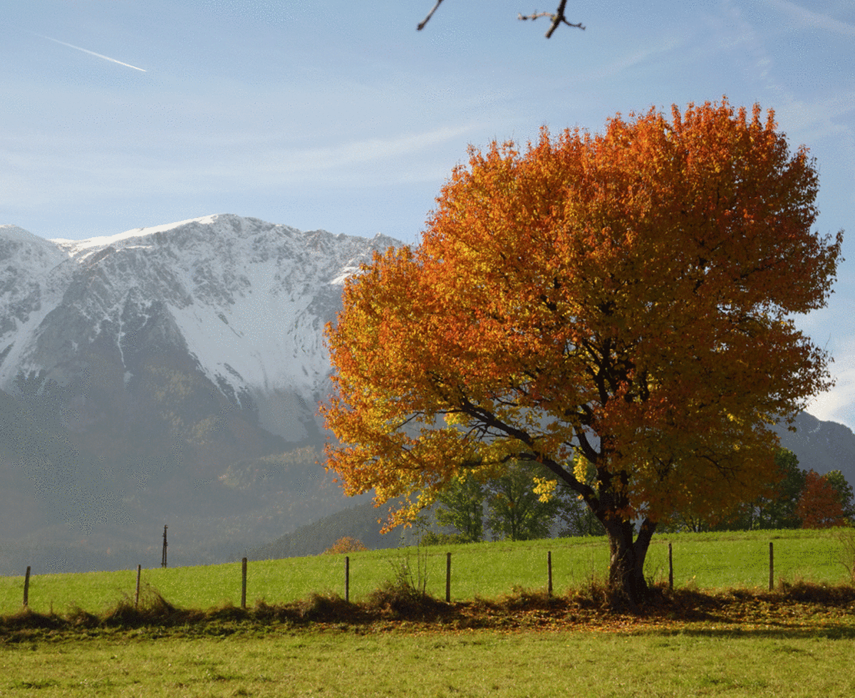 Ferienwohnung  Schneebergblick - Herbst