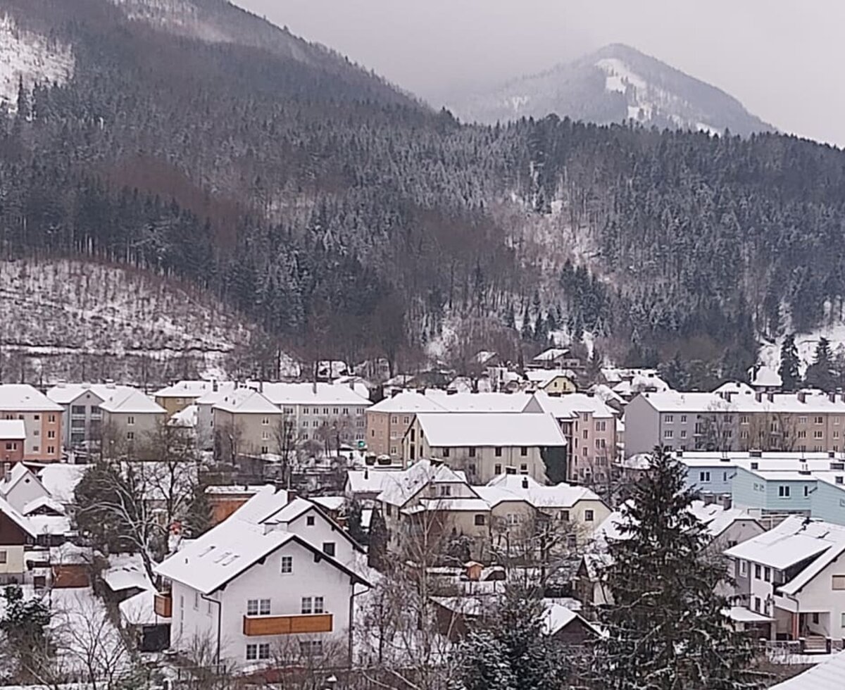 Ferienwohnung Traudi - im Hintergrund Schnabelberg und Buchenberg