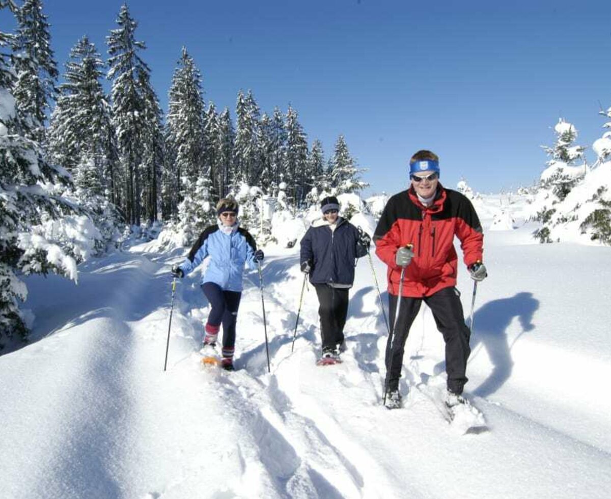 Schneeschuhwanderung