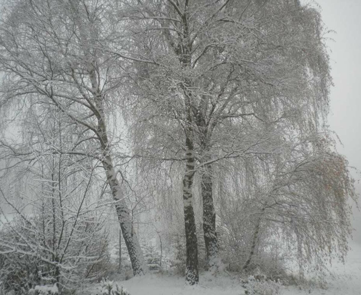 Gästezimmer Weiß - Winterlandschaft