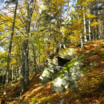 Steinbachklamm