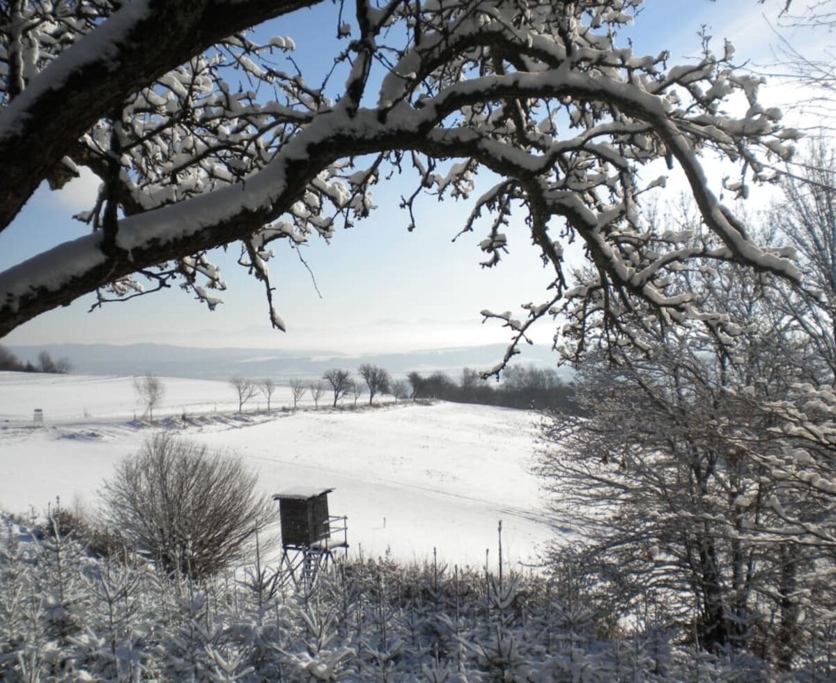 Gästezimmer Weiß - Winterlandschaft