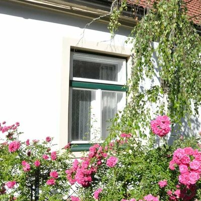 Haus Irblingweg - Rosen im Garten