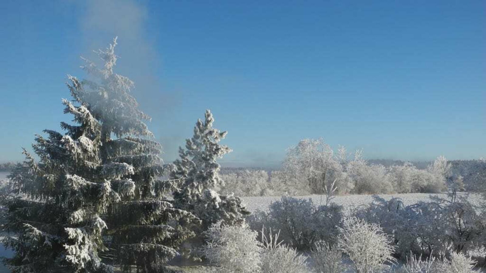 Garten im Winter