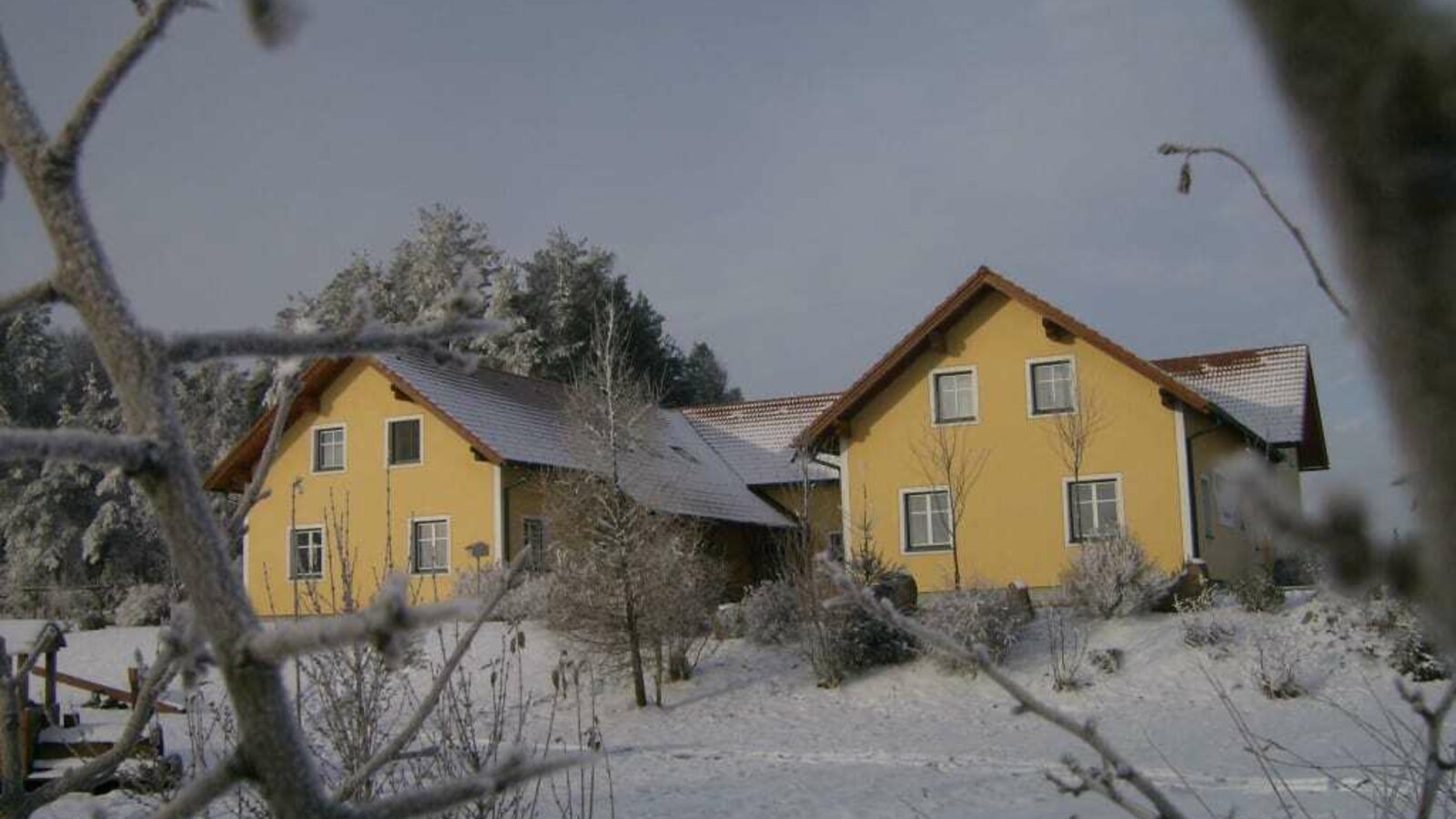 Kibitzhof Winter