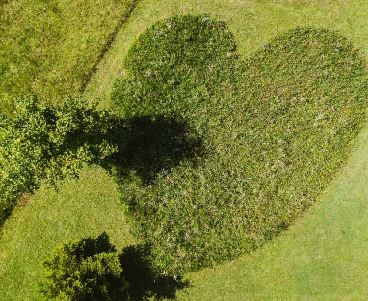 Unser Herz im Garten im Sommer