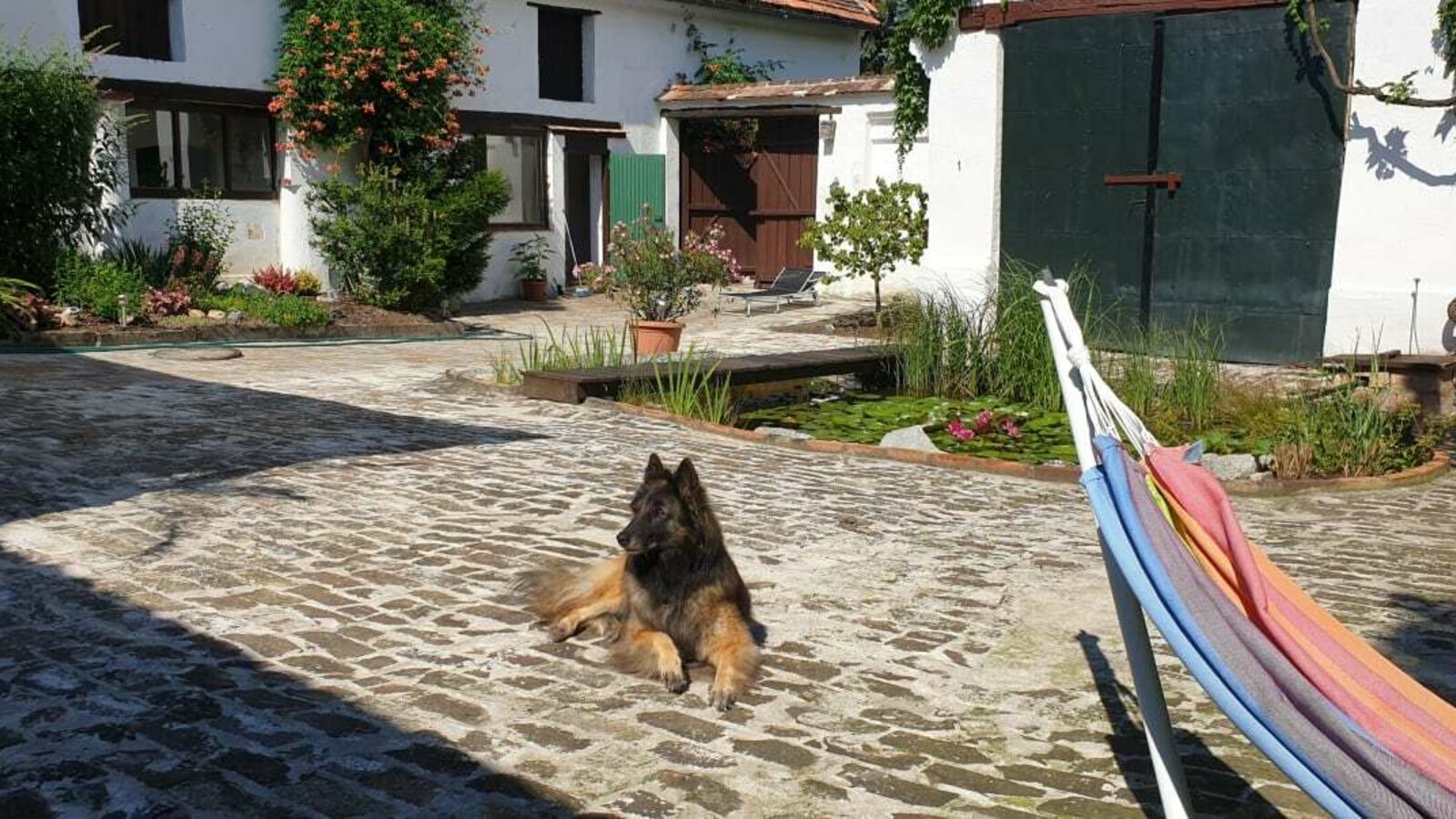 Refugium Ottenthal - Hund Patio