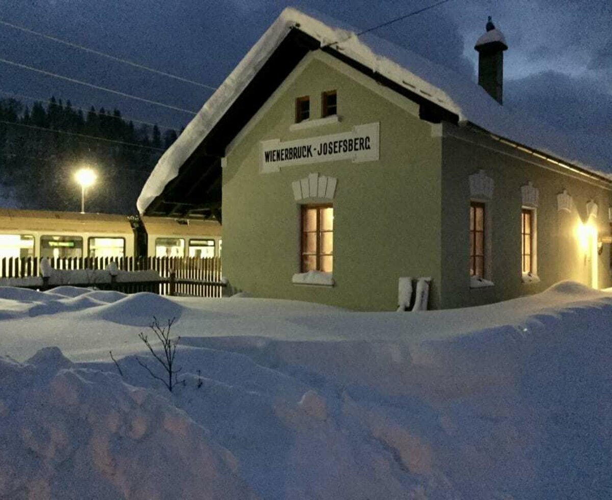 Winterlicher Garten bei Nacht